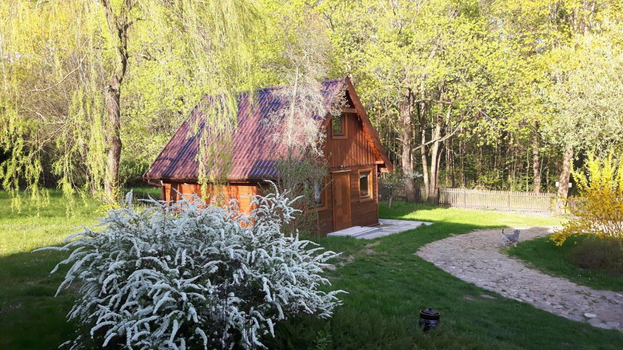 Homestay Bakusiowy Zakatek