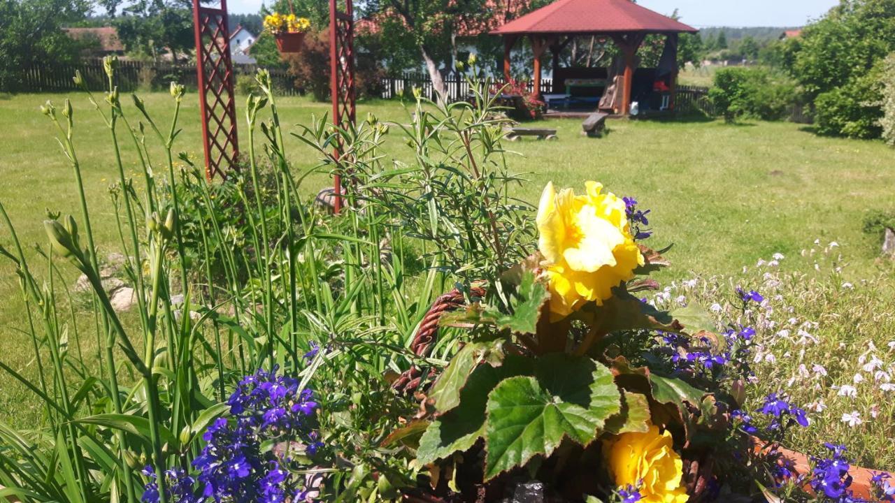 Bakusiowy Zakatek Homestay Lipowo Kurkowskie