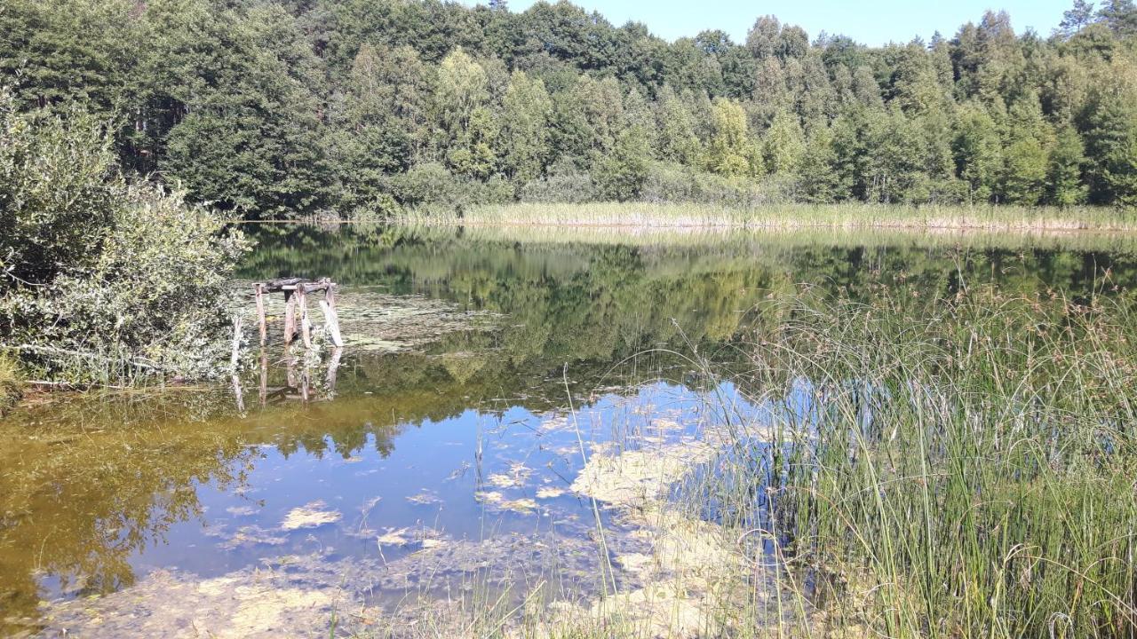Bakusiowy Zakatek
