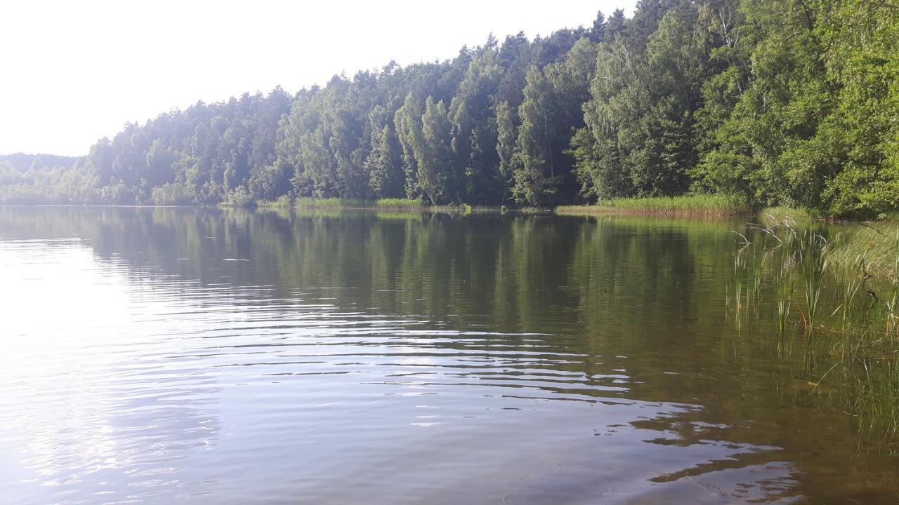 Bakusiowy Zakatek Homestay Lipowo Kurkowskie