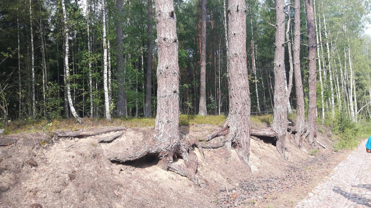 Kwatera prywatna Bakusiowy Zakątek Lipowo Kurkowskie